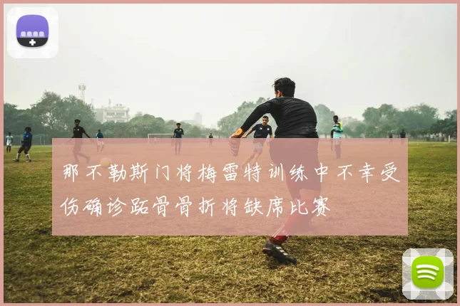 那不勒斯门将梅雷特训练中不幸受伤确诊跖骨骨折将缺席比赛