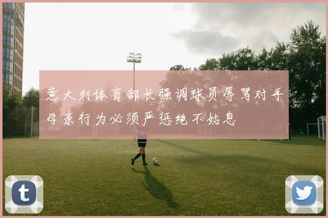 意大利体育部长强调球员辱骂对手母亲行为必须严惩绝不姑息