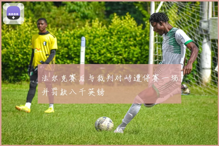 法尔克赛后与裁判对峙遭停赛一场并罚款八千英镑