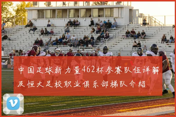 中国足球新力量462杯参赛队伍详解及恒大足校职业俱乐部梯队介绍